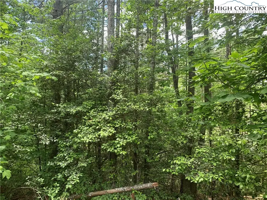 1211 Winding Creek Way, Lenoir, NC 28645 - Image #2