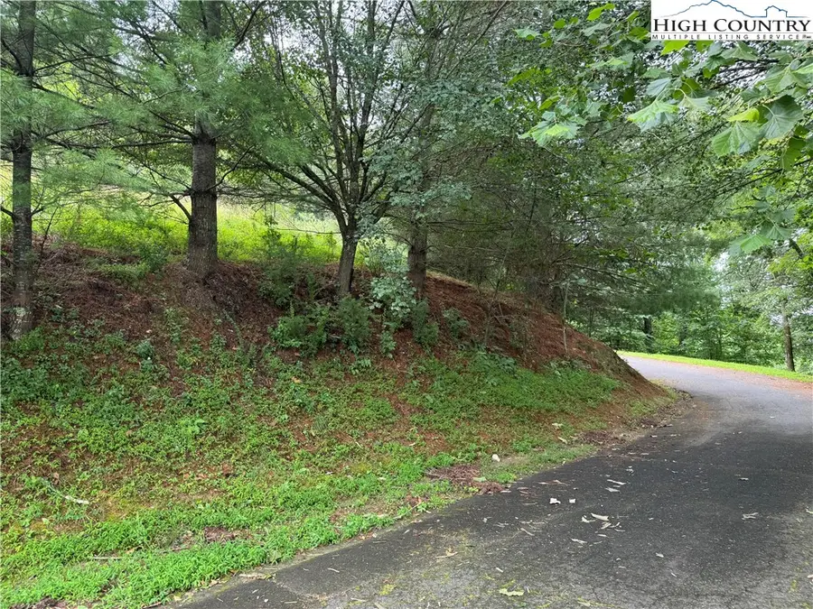 LOT 52 & 55 Rachel Way, Piney Creek, NC 28627 - Image #3