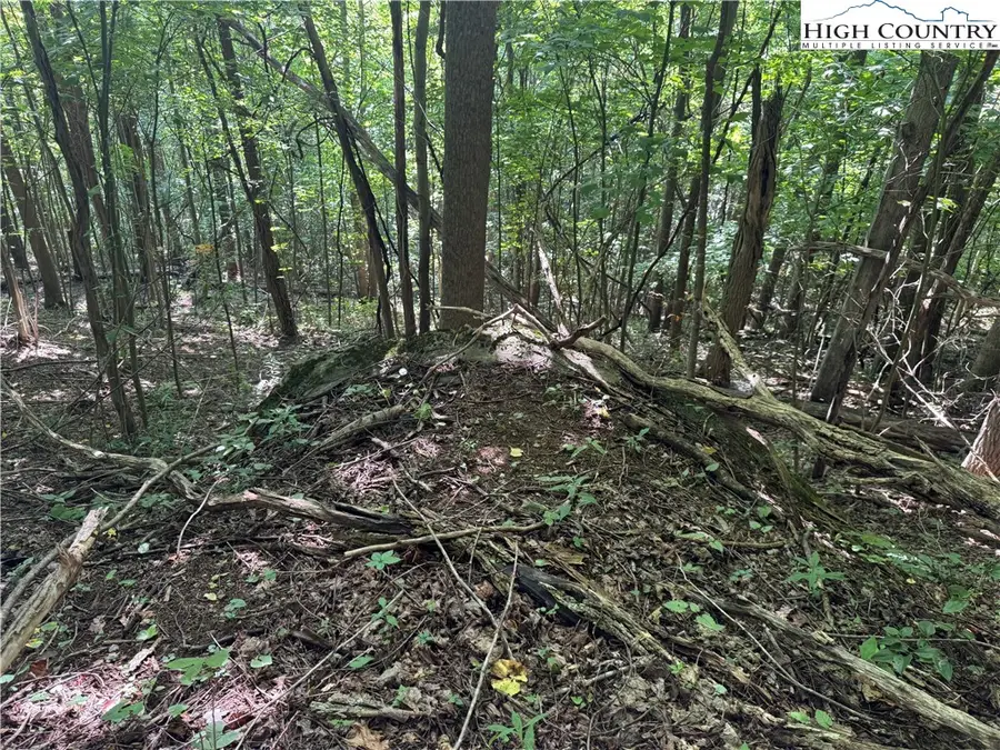 TBD Dark Ridge Road, Elk Park, NC 28622 - Image #2
