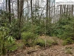 XX Red Clover Road, Beech Mountain, NC 28604 - Image #3