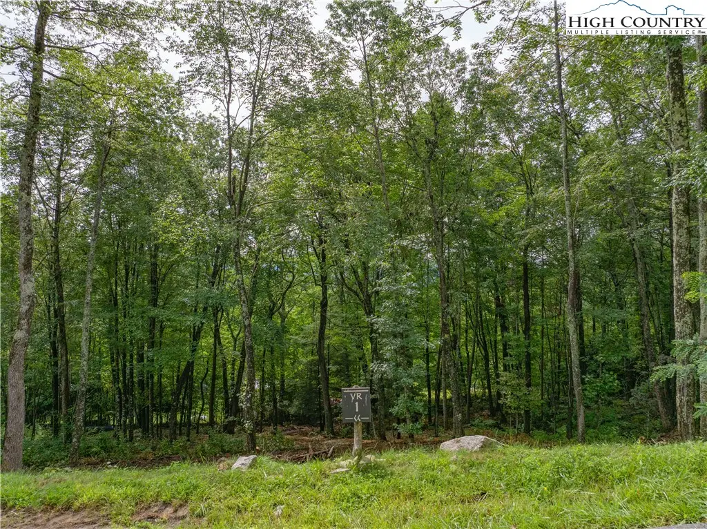 VR1 Red Sky Parkway, Elk Park, NC 28622 - Image #1