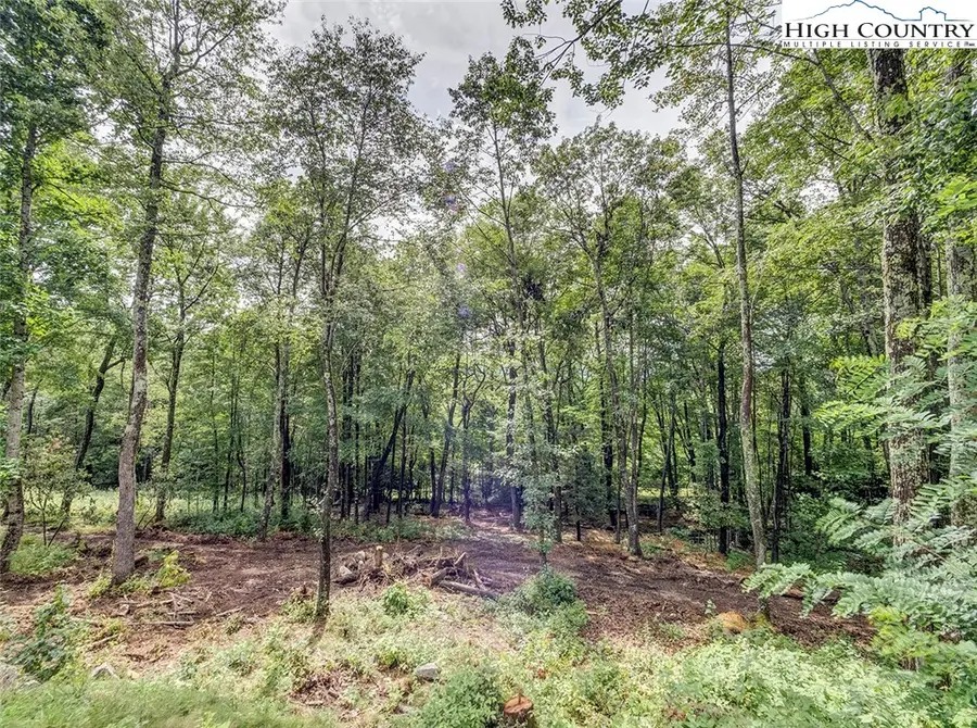 VR1 Red Sky Parkway, Elk Park, NC 28622 - Image #2