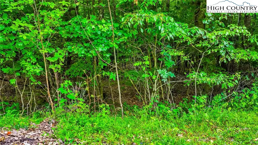 TBD 6 Christmas Mountain Lane, Fleetwood, NC 28626 - Image #2