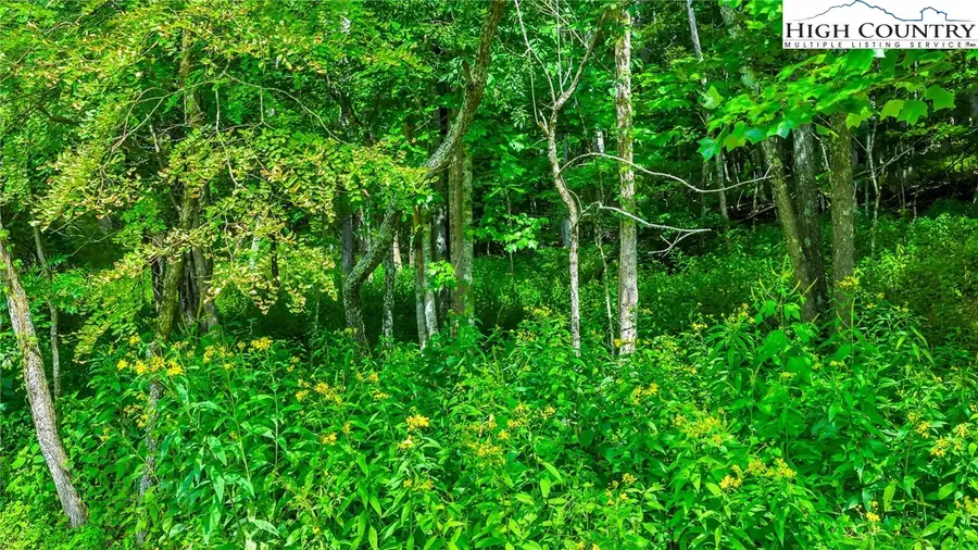 TBD 2 Christmas Mountain Lane, Fleetwood, NC 28626 - Image #2