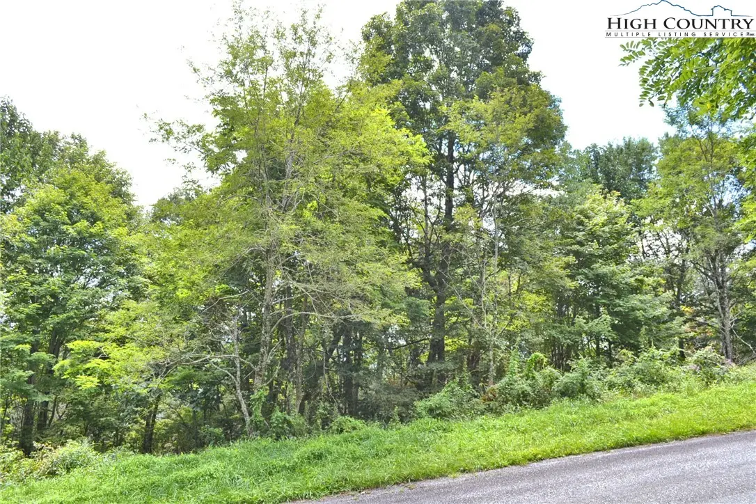 TBD Holiday Lane, Whitetop, VA 24292 - Image #1