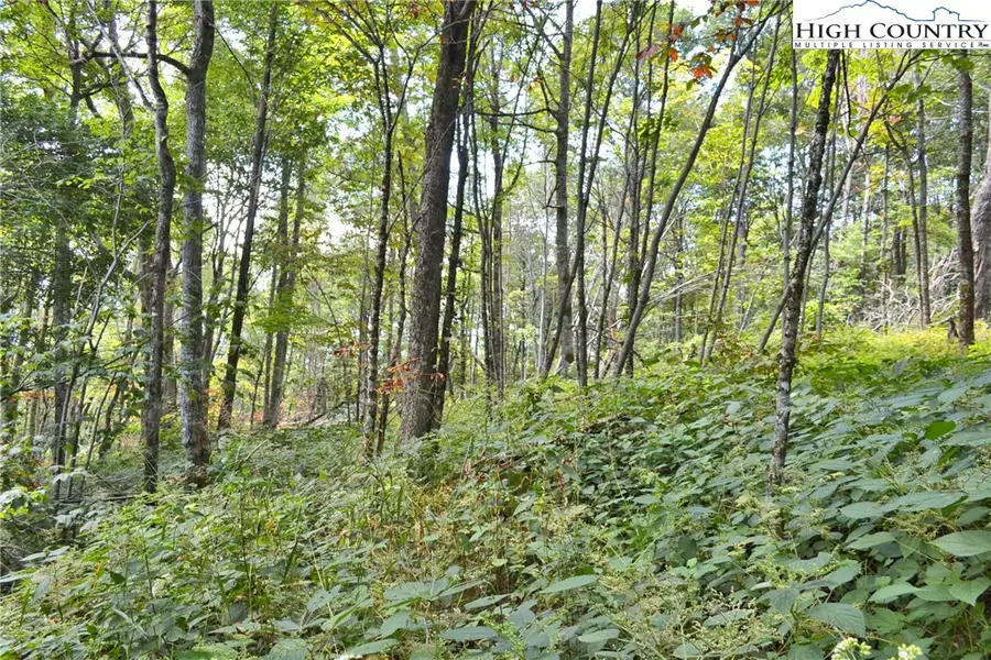 TBD Holiday Lane, Whitetop, VA 24292 - Image #3