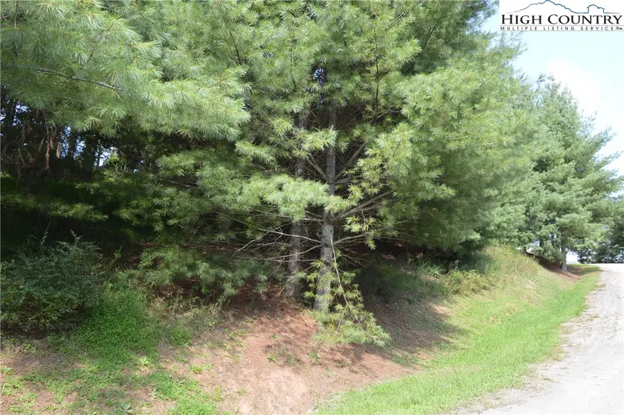 Lot #15 Riverwalk Drive, Sparta, NC 28675 - Image #3