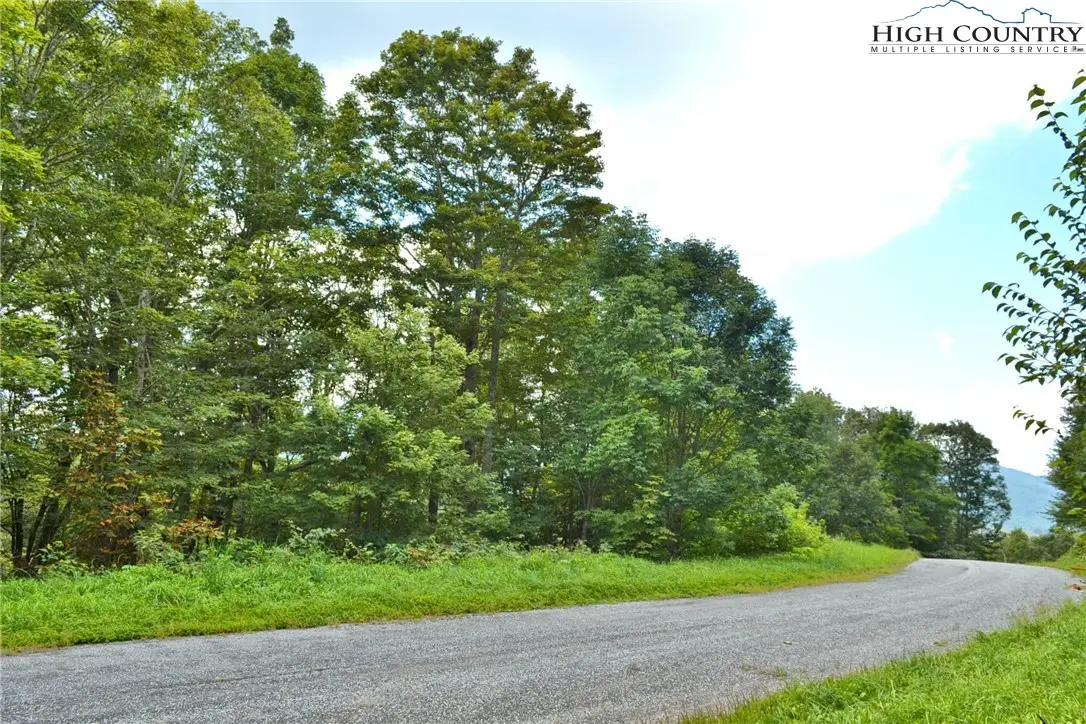 TBD Holiday Lane, Whitetop, VA 24292 - Image #1