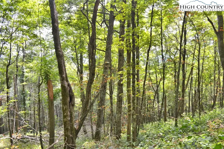 TBD Holiday Lane, Whitetop, VA 24292 - Image #2