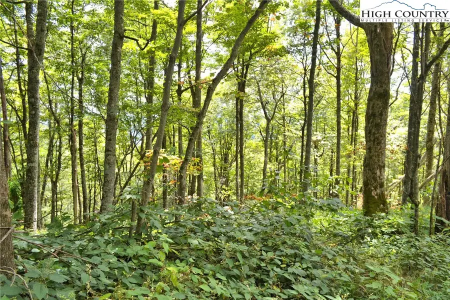 TBD Holiday Lane, Whitetop, VA 24292 - Image #3