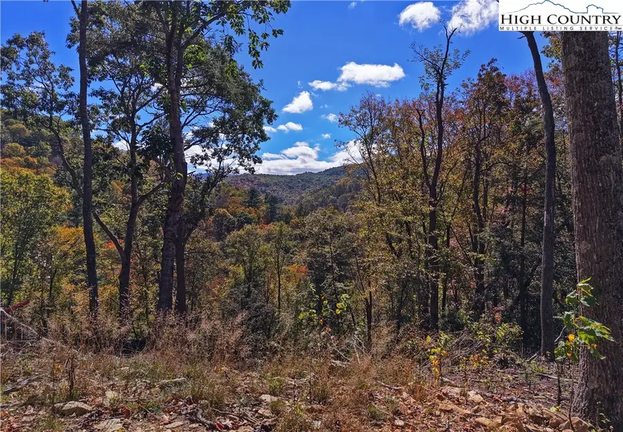 C-125 Springwater Lane, Banner Elk, NC 28604 - Image #2