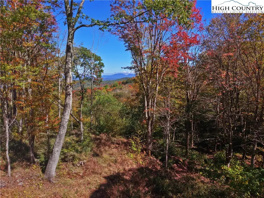N-79 Eagles Nest Trail, Banner Elk, NC 28604 - Image #2