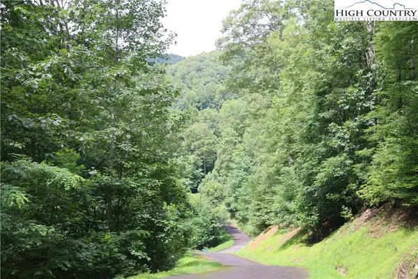 TBD Elk Mountain Loop, Newland, NC 28657