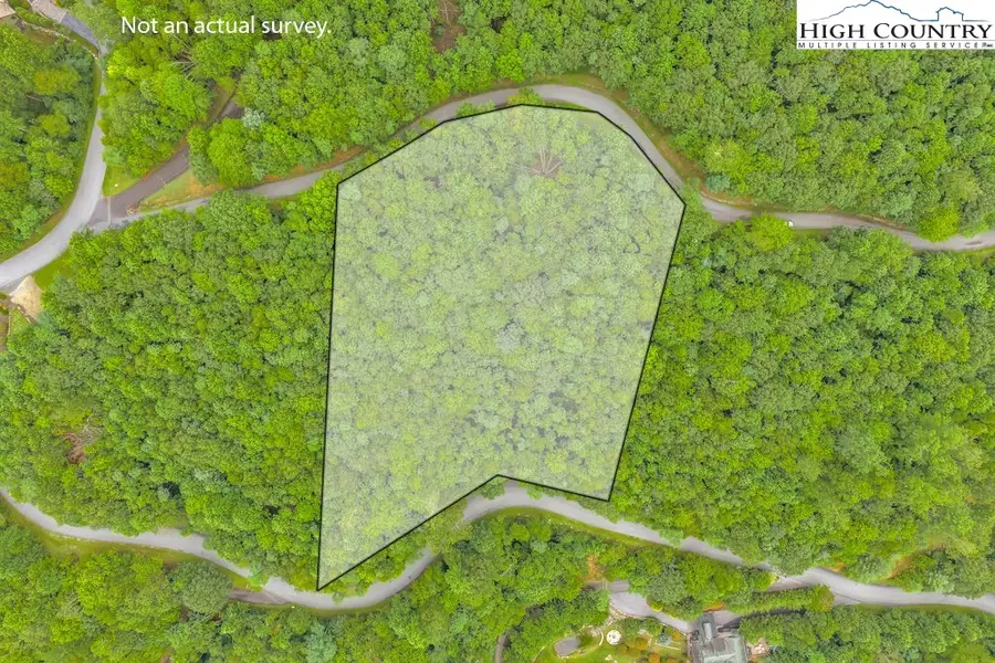 Lot 14 Lake View Drive, Elk Park, NC 28622 - Image #2