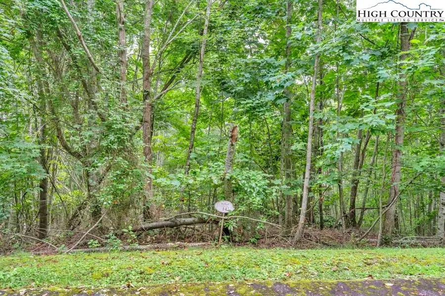 Lot 14 Lake View Drive, Elk Park, NC 28622 - Image #3