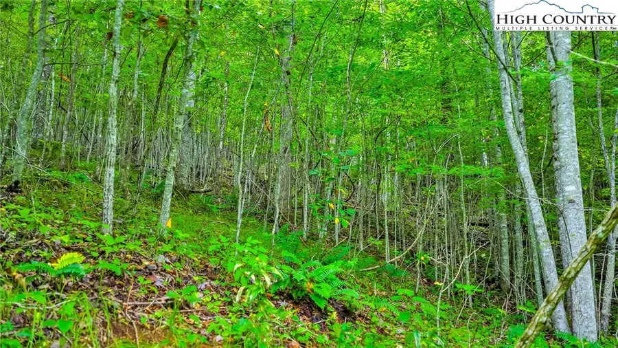 TBD Mckinley Ridge Road, Lansing, NC 28643 - Image #2