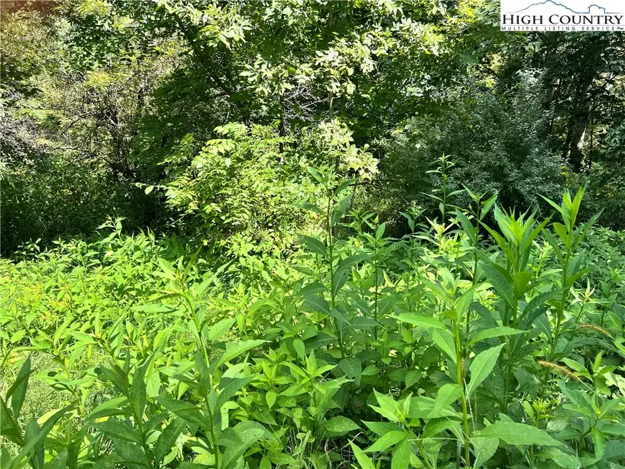 Lots 2 & 3 Old Barn Road, Vilas, NC 28692 - Image #2