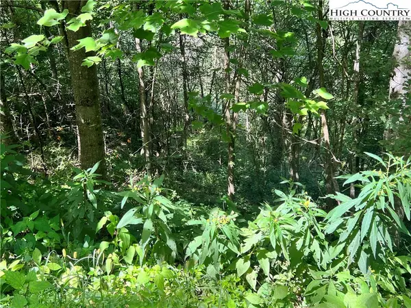 Lot 7 Old Barn Road, Vilas, NC 28692