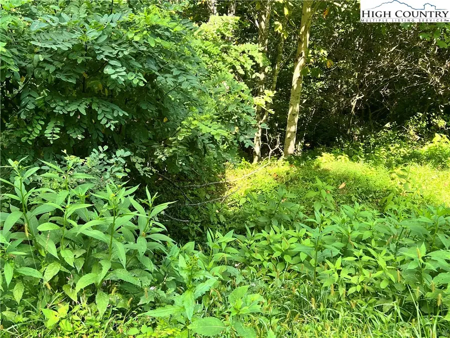 Lot 7 Old Barn Road, Vilas, NC 28692 - Image #2