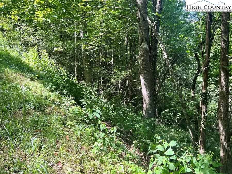 Lot 7 Old Barn Road, Vilas, NC 28692 - Image #3