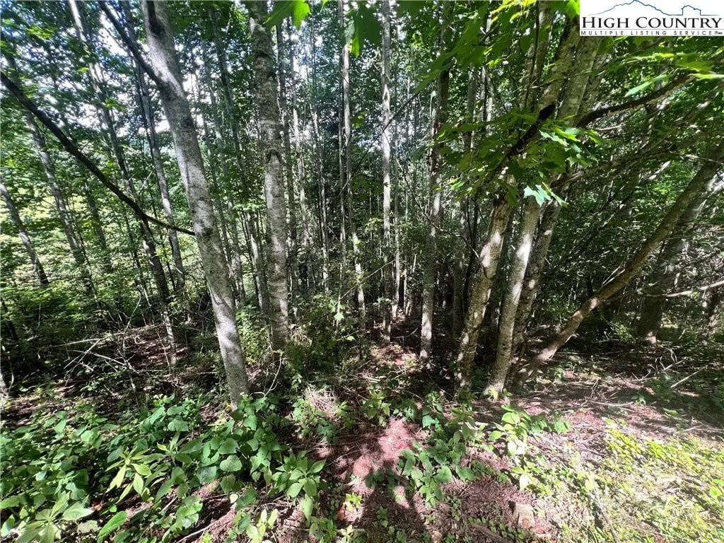 Lot 5 Old Barn Road, Vilas, NC 28692 - Image #1