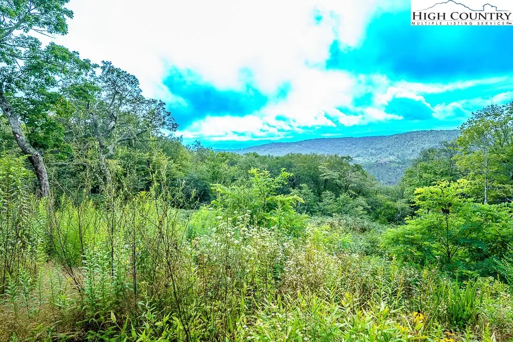 1902 Flattop Cliffs Lane, Linville, NC 28646 - Image #1
