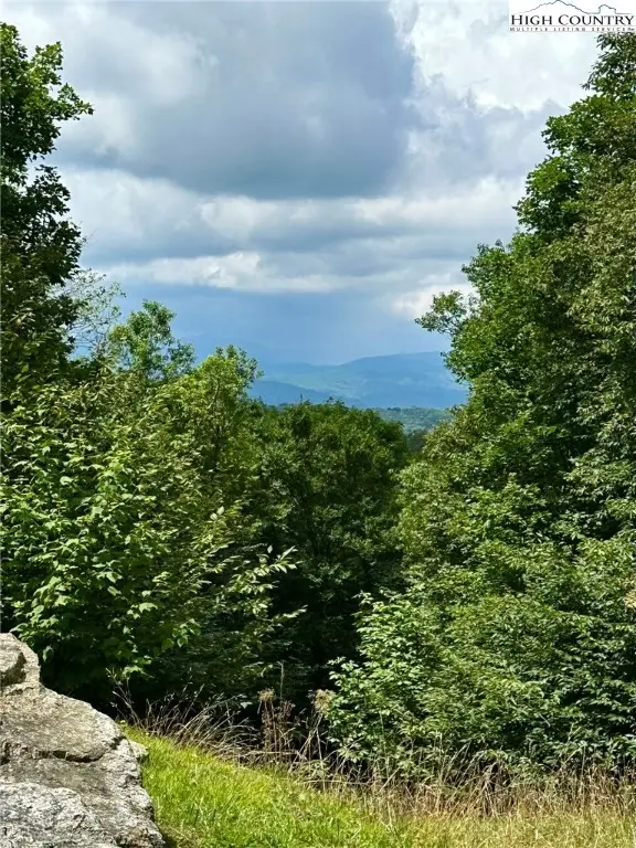 11 Fox Crest Road, Beech Mountain, NC 28604 - Image #3