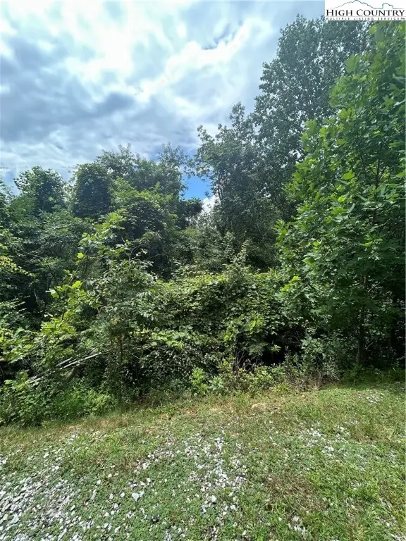 108 Falls Creek Parkway, Elk Park, NC 28622 - Image #2