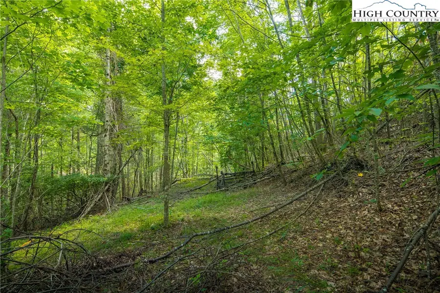 TBD Beaver Damn Road, Elk Park, NC 28622 - Image #2