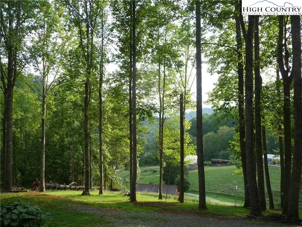 TBD Joe Shoemaker Road, Vilas, NC 28692 - Image #1