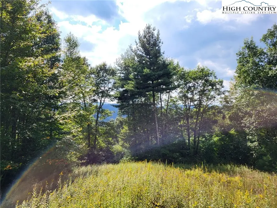 TBD Parkway Pointe Drive, West Jefferson, NC 28694 - Image #2