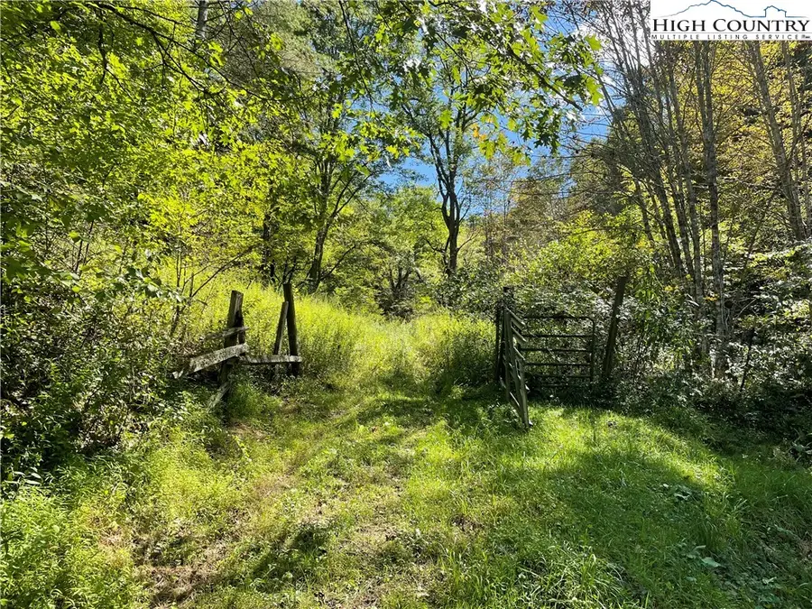 TBD Long Branch Road, Lansing, NC 28643 - Image #2