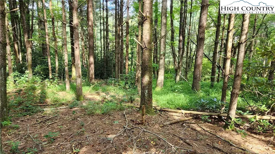 TBD Morning Star, Blowing Rock, NC 28605 - Image #3