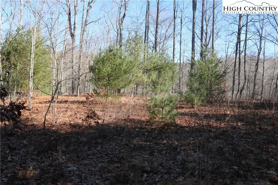 Lot 9 Clearview Ridge Road, Crumpler, NC 28617 - Image #2