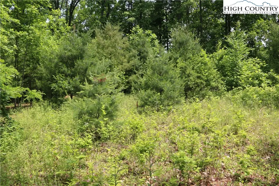 Lot 9 Clearview Ridge Road, Crumpler, NC 28617 - Image #3