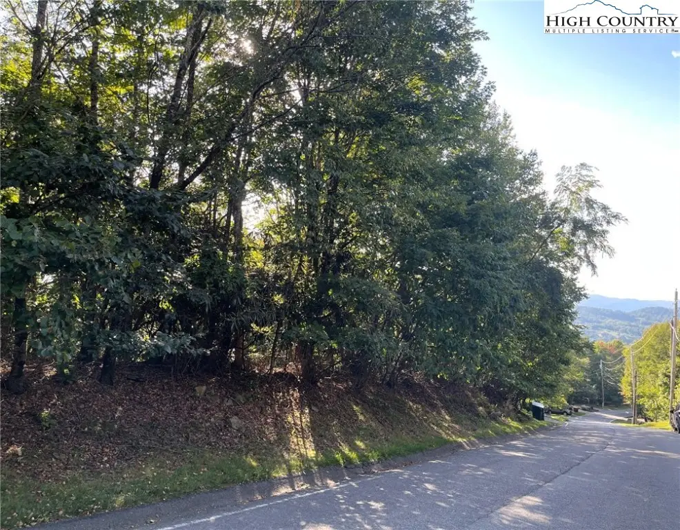 315 Pinnacle Ridge Road, Beech Mountain, NC 28604 - Image #1