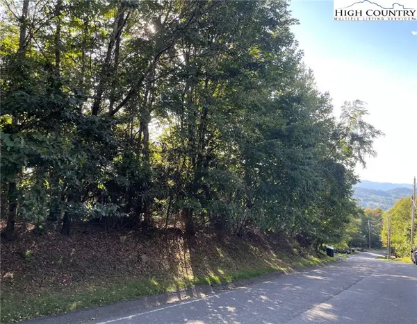 315 Pinnacle Ridge Road, Beech Mountain, NC 28604