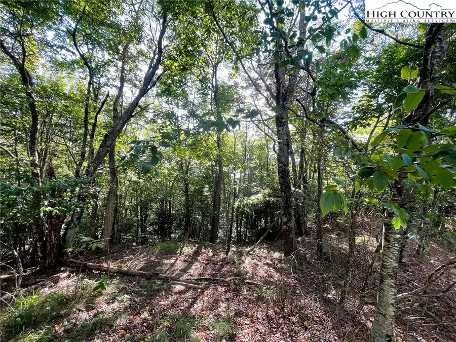 315 Pinnacle Ridge Road, Beech Mountain, NC 28604 - Image #2