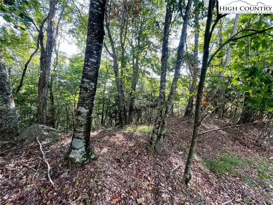 315 Pinnacle Ridge Road, Beech Mountain, NC 28604 - Image #3