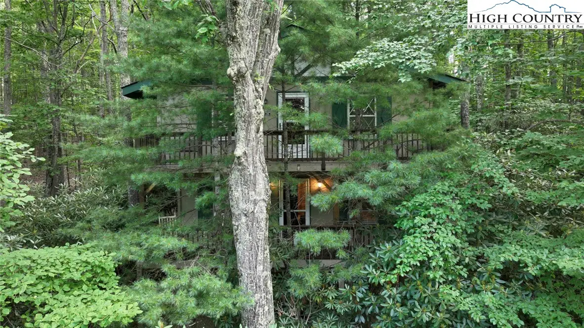 206 Oak Road, Beech Mountain, NC 28604 - Image #1