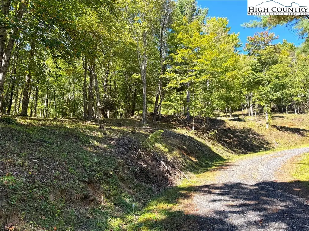 TBD Lot #6 Mystery Mountain Drive, West Jefferson, NC 28694 - Image #1