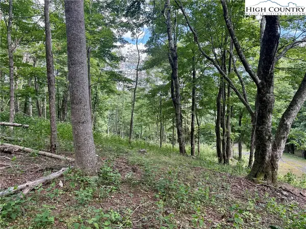 TBD Lot #5 Mystery Mountain Drive, West Jefferson, NC 28694