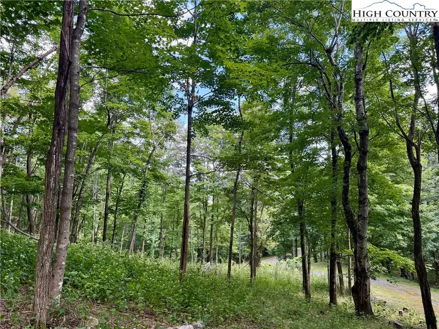 TBD Lot #5 Mystery Mountain Drive, West Jefferson, NC 28694 - Image #3