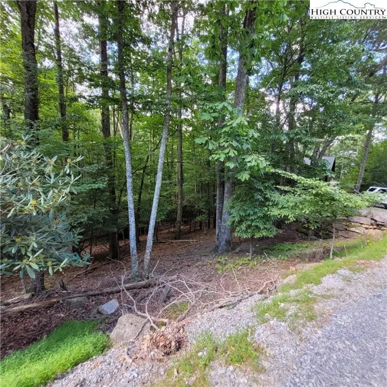 201 Jackpine Road, Beech Mountain, NC 28604 - Image #3