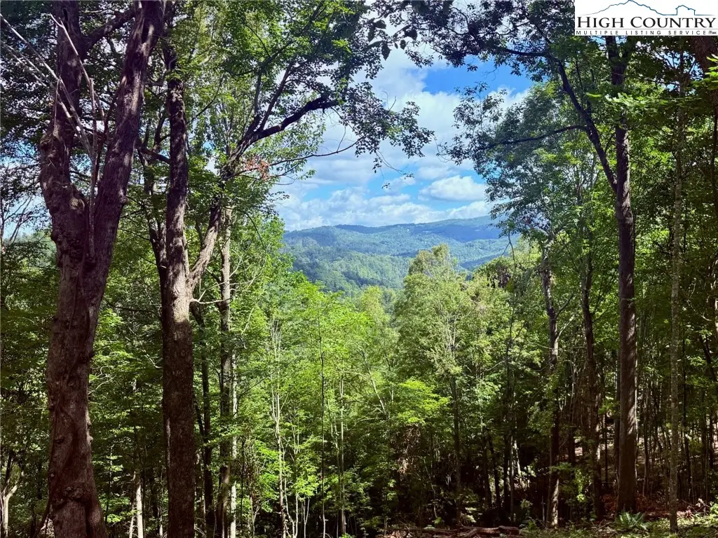 190 Raspberry Lane, Elk Park, NC 28622 - Image #1