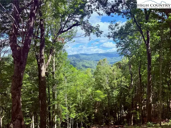 190 Raspberry Lane, Elk Park, NC 28622