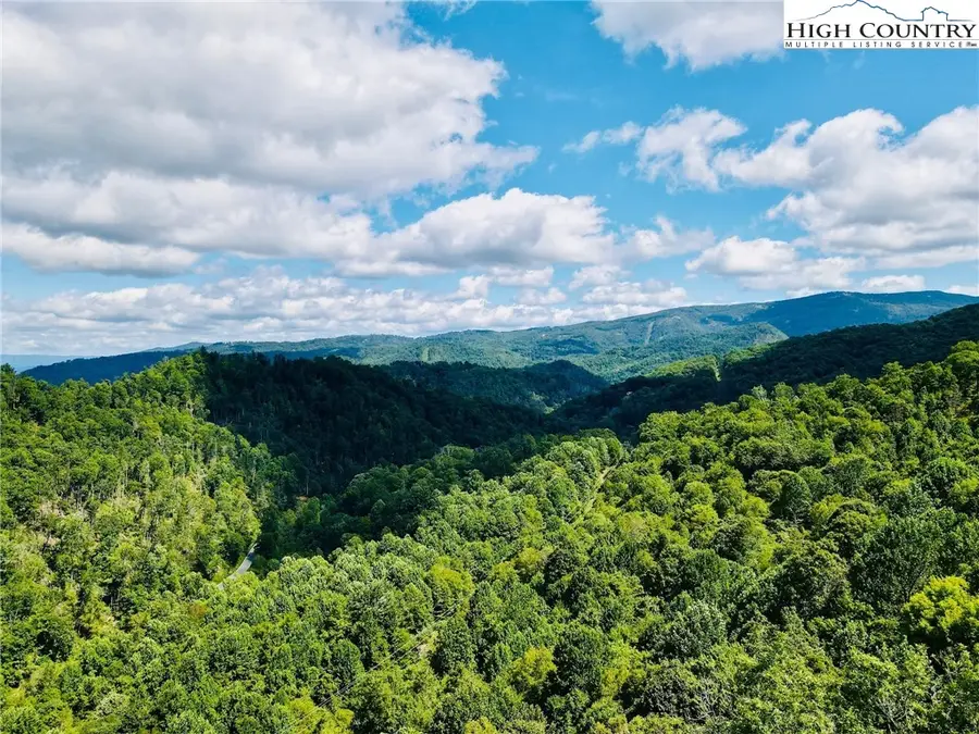 190 Raspberry Lane, Elk Park, NC 28622 - Image #2