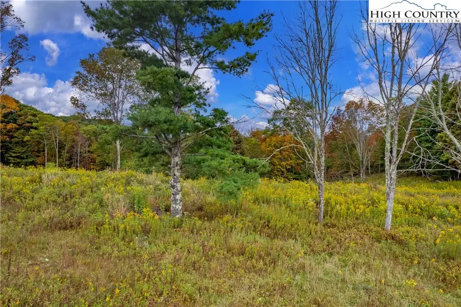 N-55 Eagles Creek Trail, Banner Elk, NC 28604 - Image #2