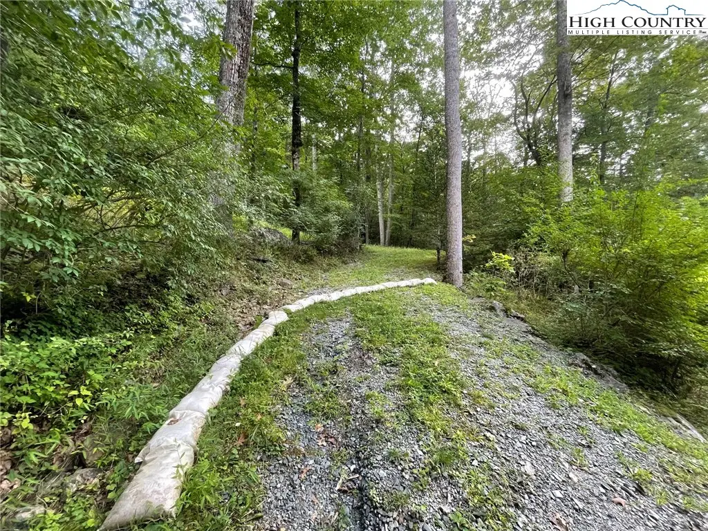 TBD Millers Pond Lane, Boone, NC 28607 - #1