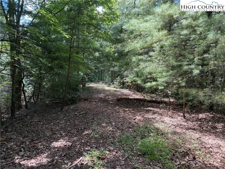 Lot 102 & 103 Hickory Hollow Road, Purlear, NC 28665 - Image #3